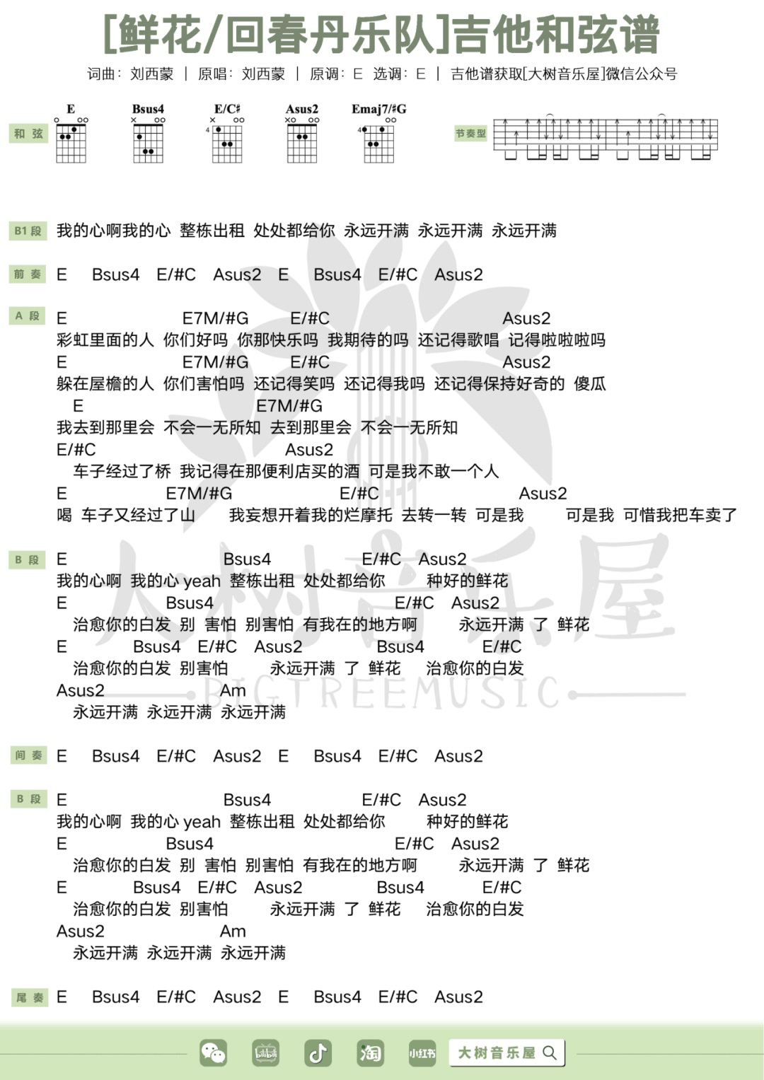 鲜花吉他谱预览图