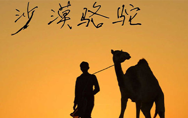 《沙漠骆驼吉他谱》展展与罗罗_C调弹唱六线谱_高清图片谱