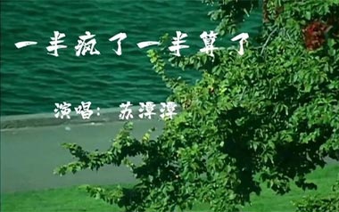 《一半疯了一半算了吉他谱》苏谭谭_G调原版弹唱谱_高清六线谱