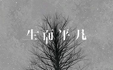 《生而平凡吉他谱》王富贵_G调拍弦版弹唱六线谱_高清图片谱