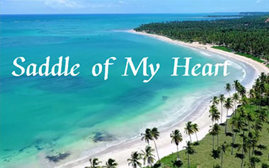 《Saddle Of My Heart吉他谱》Teloupe_C调弹唱谱_高清六线谱