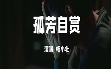 《孤芳自赏吉他谱》杨小壮_G调原版弹唱六线谱_高清图片谱
