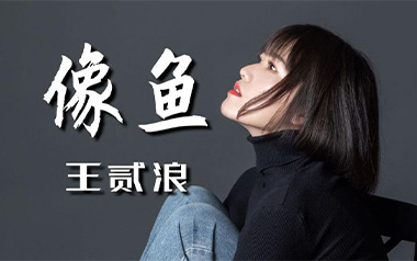 《像鱼吉他谱》王贰浪_G调原版弹唱六线谱_高清图片谱