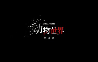 《动物世界吉他谱》薛之谦_C调原版弹唱六线谱_高清图片谱