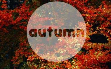 《Autumn Leaves指弹谱》卢家宏_原版指弹六线谱_吉他独奏谱