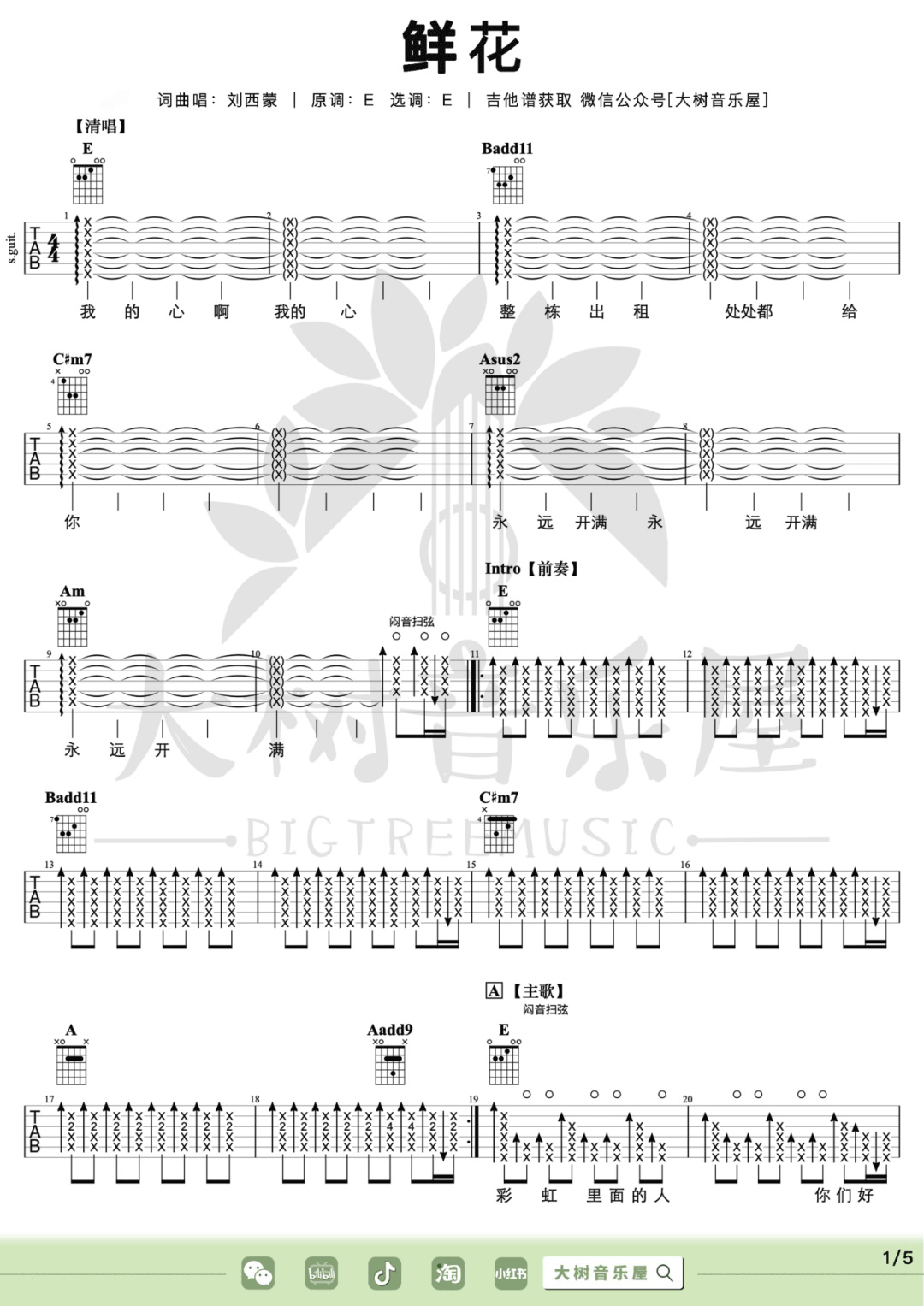 鲜花吉他谱预览图
