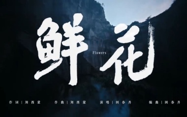 《鲜花吉他谱》回春丹乐队_C调弹唱六线谱_高清图片谱