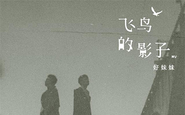 《飞鸟的影子吉他谱》好妹妹乐队_G调原版弹唱谱_高清六线谱