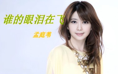 《谁的眼泪在飞吉他谱》孟庭苇_C调原版弹唱谱_高清六线谱