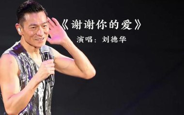 《谢谢你的爱吉他谱》刘德华_G调弹唱六线谱_高清图片谱