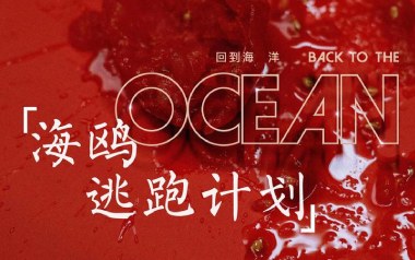 《海鸥吉他谱》逃跑计划_G调原版弹唱六线谱_高清图片谱