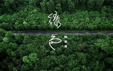 《绿色吉他谱》陈雪凝_C调扫弦简单版弹唱六线谱_高清图片谱