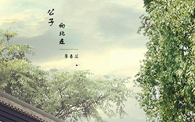 《公子向北走吉他谱》李春花_G调简单版弹唱六线谱_高清图片谱