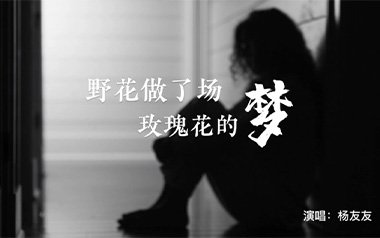 《野花做了场玫瑰花的梦吉他谱》杨友友_C调原版弹唱谱_高清六线谱
