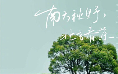 《南方秋野北方春茶吉他谱》张远_C调原版弹唱谱_高清六线谱