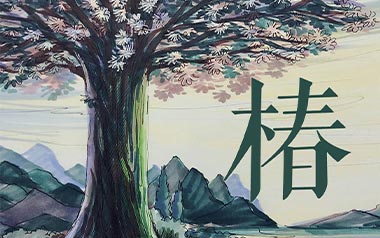 《椿吉他谱》沈以诚_C原版弹唱六线谱_高清图片谱