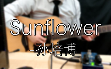 《太阳花指弹吉他谱》孙培博_Sunflower_原版指弹谱_吉他独奏谱