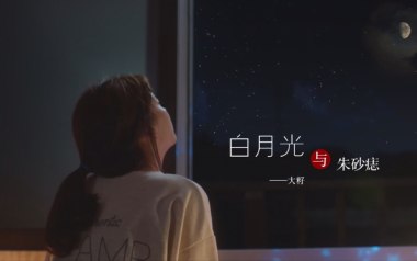 《白月光与朱砂痣指弹指弹谱》大籽_原版指弹六线谱_吉他独奏谱