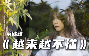 《越来越不懂吉他谱》蔡健雅_C调弹唱六线谱_高清图片谱