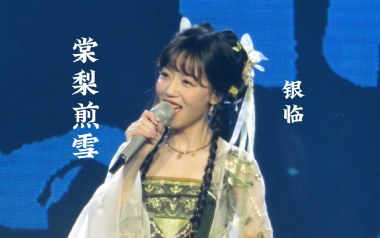 《棠梨煎雪吉他谱》银临_C调原版弹唱六线谱_高清图片谱