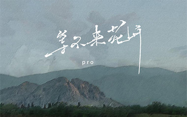 《等不来花开吉他谱》Pro_C调原版弹唱六线谱_高清图片谱