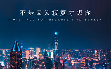 《不是因为寂寞才想你吉他谱》王小帅_C调弹唱谱_高清六线谱