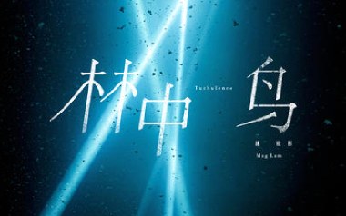 《林中鸟吉他谱》葛林_C调扫弦版弹唱六线谱_高清图片谱