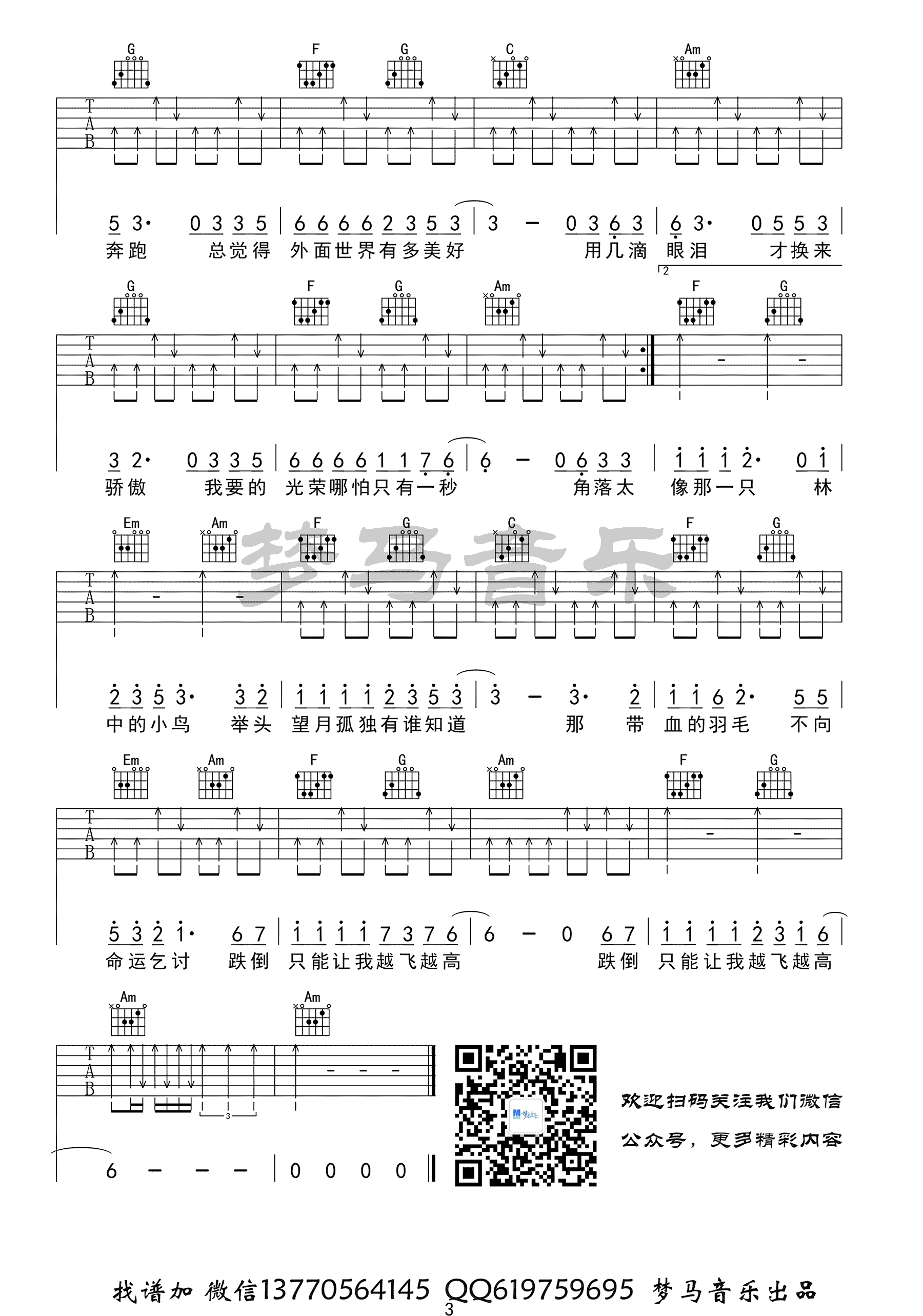 林中鸟吉他谱预览图