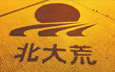 《北大荒吉他谱》安来宁_G调弹唱六线谱_高清图片谱