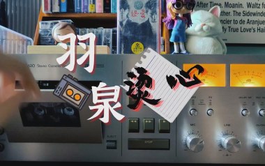 《烫心吉他谱》羽泉_C调原版弹唱六线谱_高清图片谱