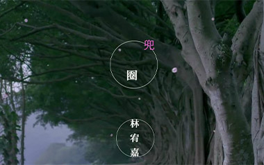 《兜圈吉他谱》林宥嘉_C调简单版弹唱六线谱_高清图片谱