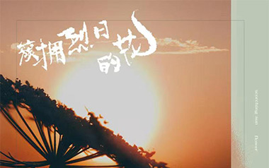 《簇拥烈日的花吉他谱》迟里乌布/Morerare_C调_弹唱教学视频