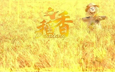 《稻香吉他谱》周杰伦_稻香A调原版弹唱六线谱_高清图片谱