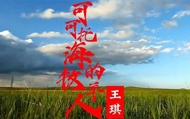 《可可托海的牧羊人吉他谱》王琪_G调原版六线谱_弹唱教学视频