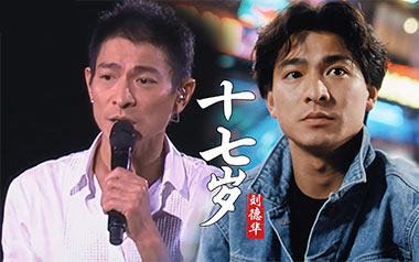 《十七岁吉他谱》刘德华_C调原版弹唱六线谱_高清图片谱