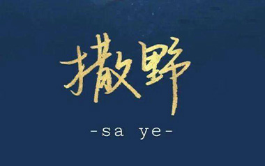 《撒野吉他谱》凯瑟喵_撒野C调弹唱六线谱_高清图片谱