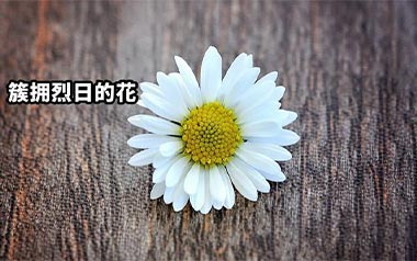 《簇拥烈日的花吉他谱》迟里乌布_C调原版弹唱六线谱_高清图片谱