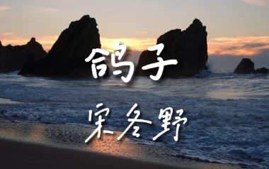 《鸽子吉他谱》宋冬野_E调原版弹唱六线谱_高清图片谱