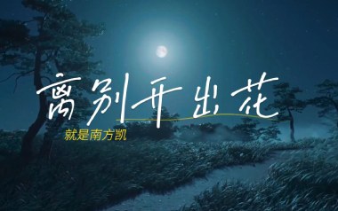 《离别开出花吉他谱》就是南方凯_G调原版六线谱_高清弹唱谱