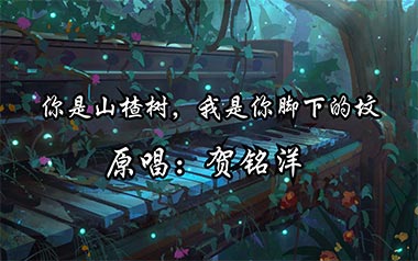 《你是山楂树我是你脚下的坟吉他谱》贺铭洋_C调简单版弹唱谱