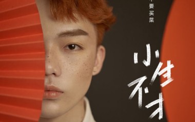 《小生不才吉他谱》要不要买菜_C调原版弹唱六线谱_高清图片谱