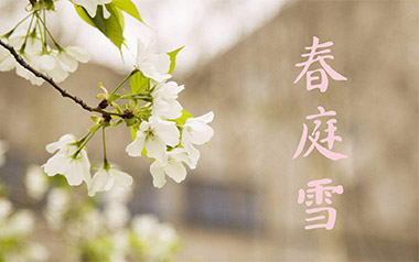 《春庭雪吉他谱》橙翼_C调原版弹唱六线谱_高清图片谱_古风歌曲