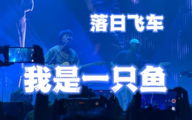 《我是一只鱼吉他谱》落日飞车_D调原版六线谱_弹唱教学视频