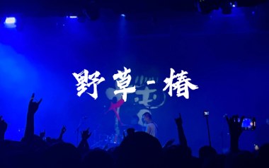 《野草吉他谱》椿_C调原版弹唱六线谱_高清图片谱