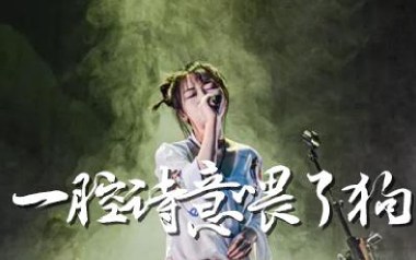 《一腔诗意喂了狗吉他谱》花粥_G调弹唱六线谱_高清图片谱