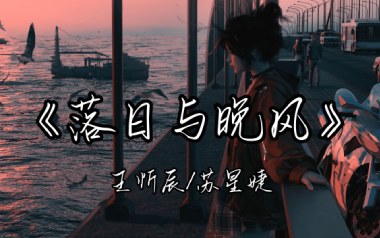 《落日与晚风吉他谱》王忻辰/苏星婕_G调弹唱谱_高清六线谱
