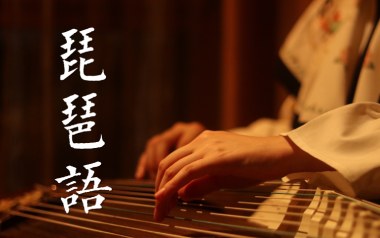 《琵琶语指法吉他谱》林海_原版独奏六线谱_指弹吉他教学