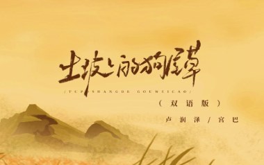 《土坡上的狗尾草吉他谱》卢润泽_C调弹唱六线谱_高清图片谱