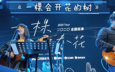《一棵会开花的树吉他谱》谢春花_C调扫弦版弹唱谱_高清六线谱